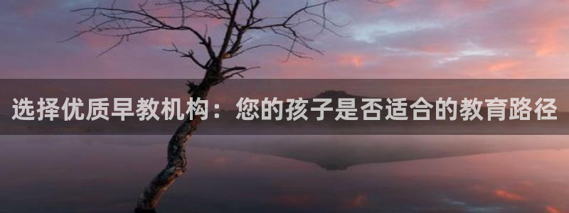 汝城天顺娱乐场所在哪：选择优质早教机构：您的孩子是否适合的教育路径