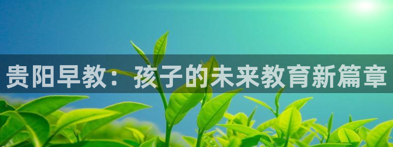 天顺娱乐骡55312：贵阳早教：孩子的未来教育新篇章