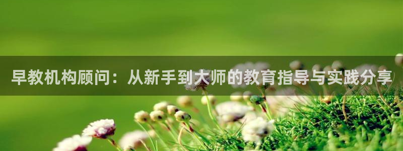 天顺娱乐负责人歹去pg29999：早教机构顾问：从新手到大师的教育指导与实践分享