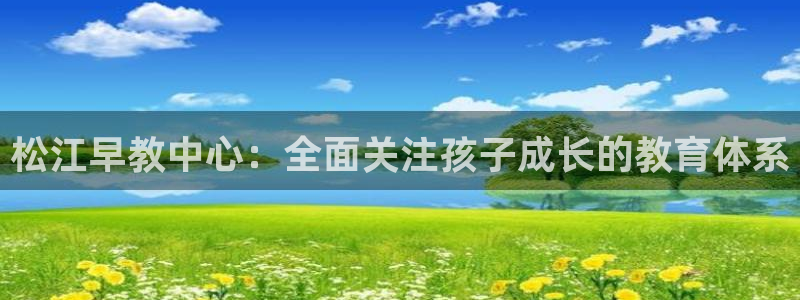 天顺娱乐撩943994：松江早教中心：全面关注孩子成长的教育体系