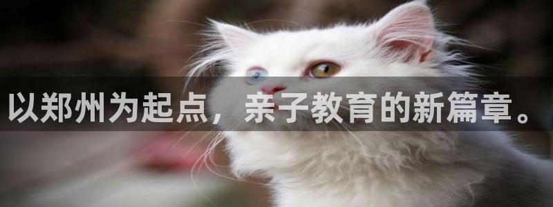 天顺娱乐鞘32oo59窍缸：以郑州为起点，亲子教育的新篇章。