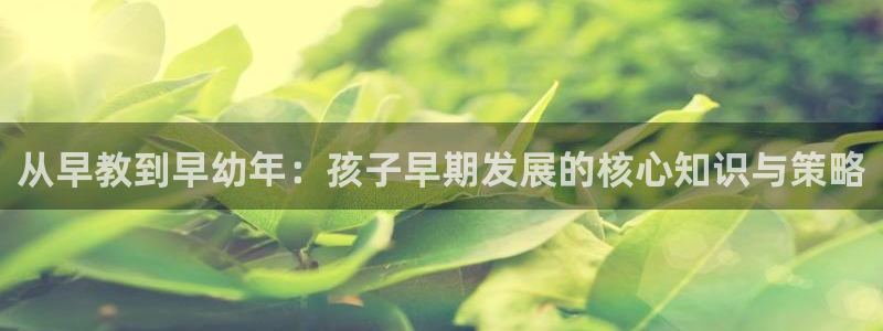 天顺娱乐重78778卧：从早教到早幼年：孩子早期发展的核心知识与策略