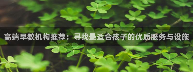 天顺娱乐主管可：高端早教机构推荐：寻找最适合孩子的优质服务与设施