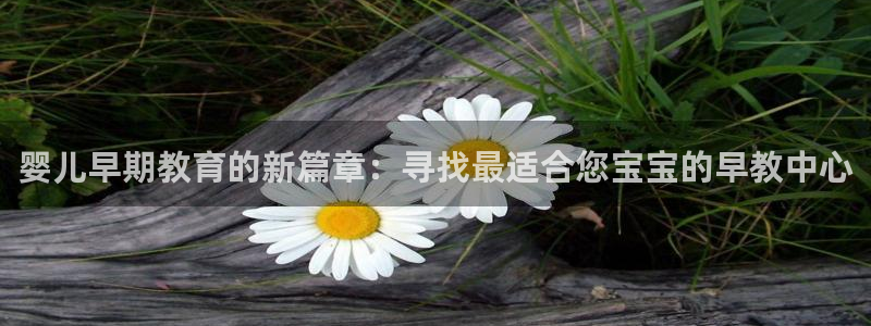 天顺娱乐总代理是谁呀：婴儿早期教育的新篇章：寻找最适合您宝宝的早教中心