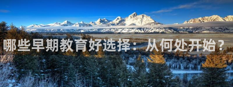 天顺娱乐 k户51828扣c：哪些早期教育好选择：从何处开始？