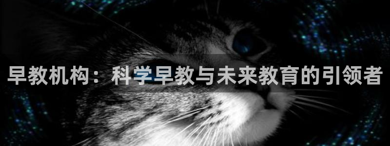 天顺娱乐主管年薪是多少：早教机构：科学早教与未来教育的引领者