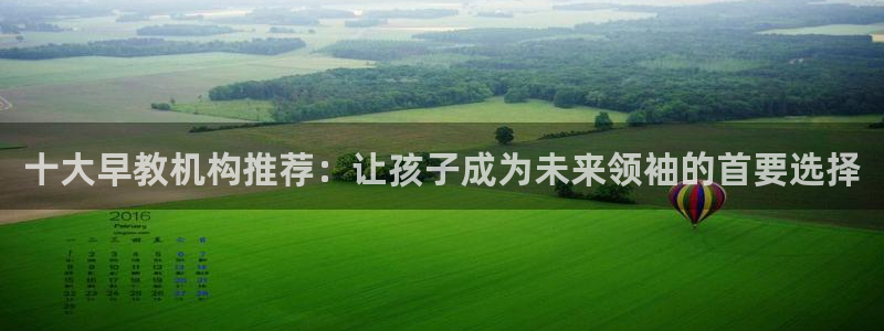 天顺娱乐top必看22650盘：十大早教机构推荐：让孩子成为未来领袖的首要选择