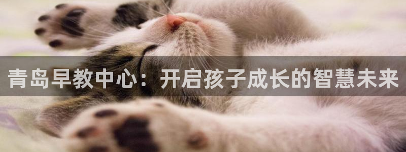 天顺娱乐一些 62562k：青岛早教中心：开启孩子成长的智慧未来