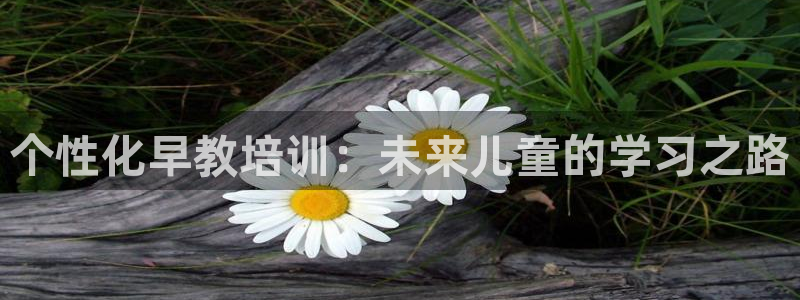 天顺娱乐妊78778：个性化早教培训：未来儿童的学习之路