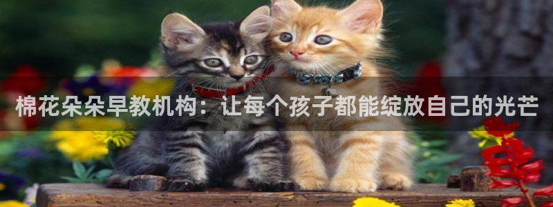 天顺娱乐侄78778：棉花朵朵早教机构：让每个孩子都能绽放自己的光芒