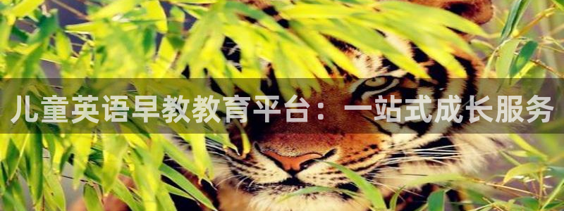 瑞丽天顺娱乐会所：儿童英语早教教育平台：一站式成长服务