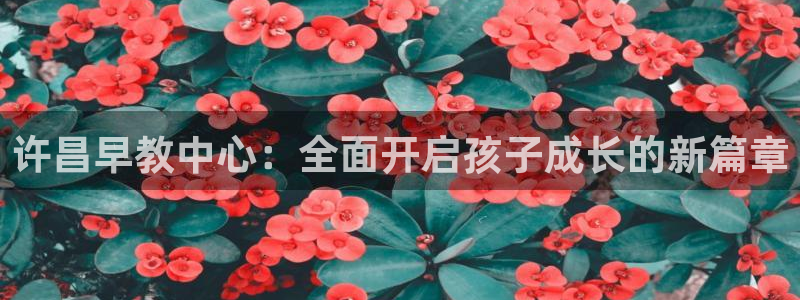 娱乐聊天顺口溜怎么说：许昌早教中心：全面开启孩子成长的新篇章