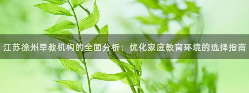 天顺娱乐与67五壹叁八：江苏徐州早教机构的全面分析：优化家庭教育环境的选择指南