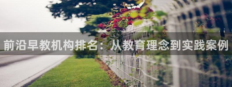 天顺娱乐快绵p官29999：前沿早教机构排名：从教育理念到实践案例