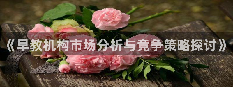 天顺娱乐岗943994：《早教机构市场分析与竞争策略探讨》