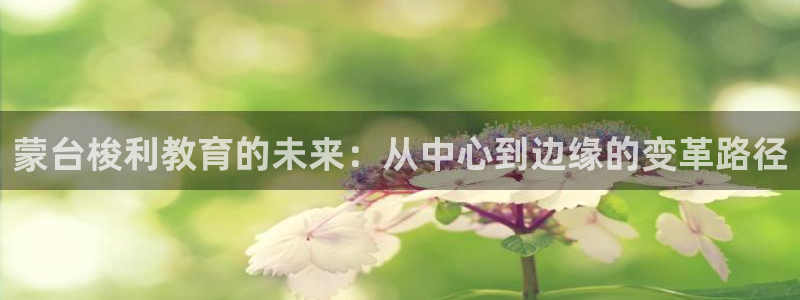 天顺娱乐靠谱吗：蒙台梭利教育的未来：从中心到边缘的变革路径