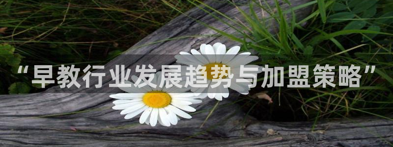 天顺娱乐幼78778卧：“早教行业发展趋势与加盟策略”